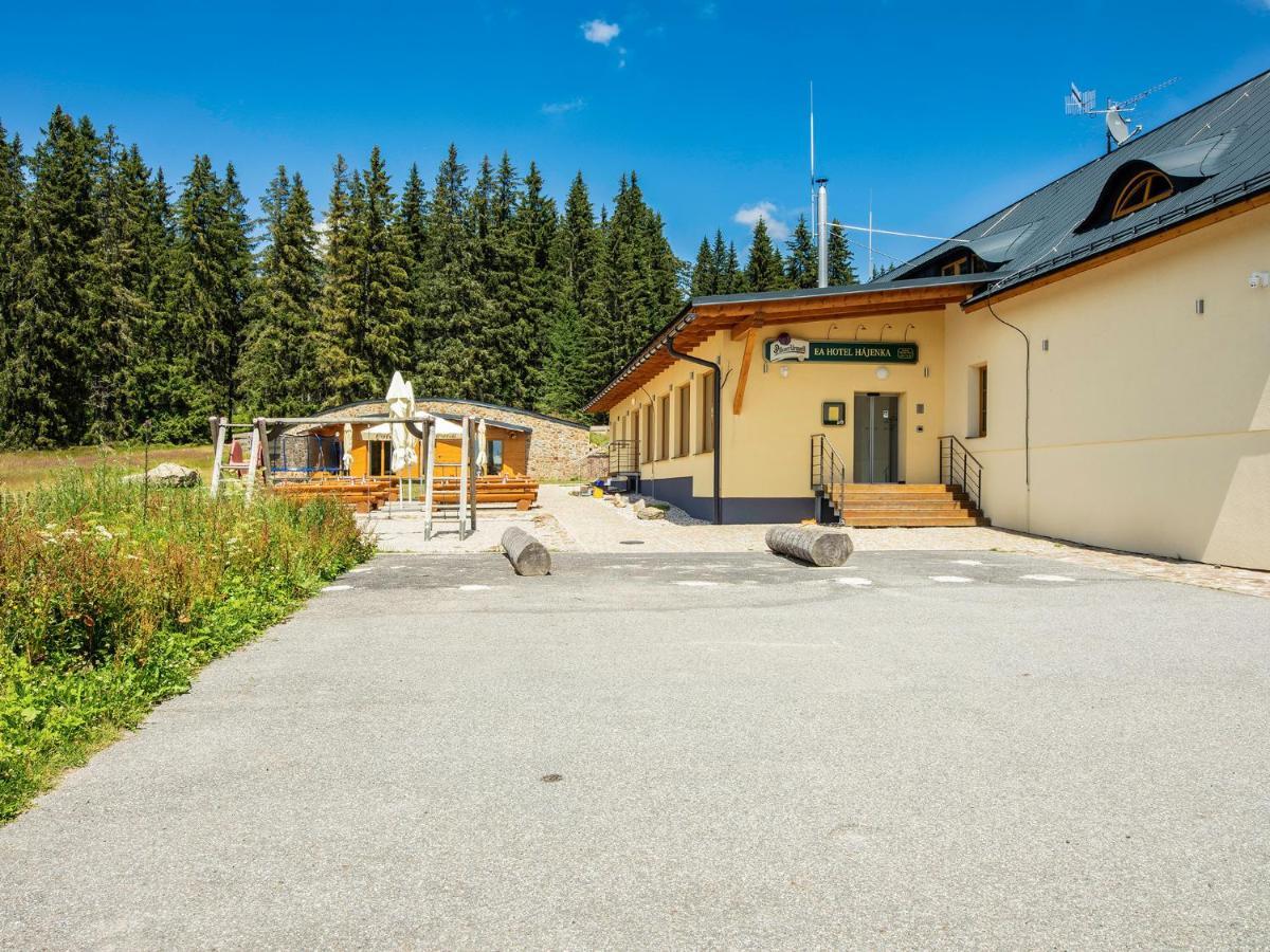 Ea Horsky Hotel Hajenka Modrava Extérieur photo